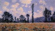Claude Monet Field of Poppies Sweden oil painting artist